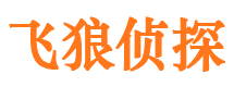 东乡市私家侦探